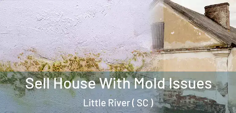  Sell House With Mold Issues Little River ( SC )