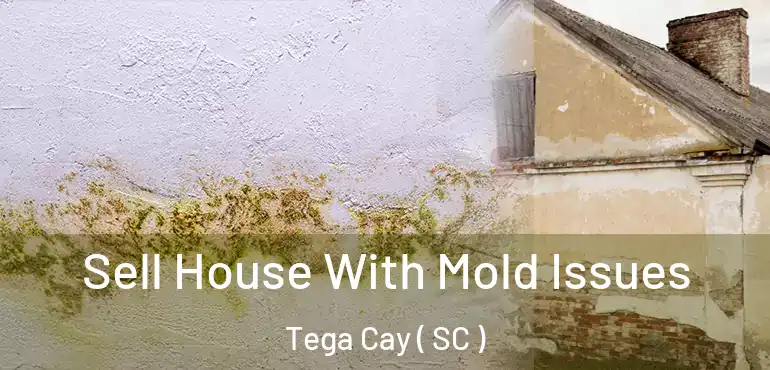  Sell House With Mold Issues Tega Cay ( SC )
