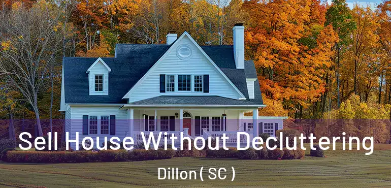  Sell House Without Decluttering Dillon ( SC )